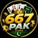 667PAK Game profile picture featuring bold gold 667 text, PAK lettering, playing cards, crown, poker chips, and green-and-gold gaming design.