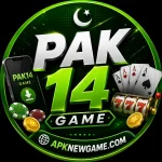 PAK14 game profile logo with green gaming design and APKNewGame branding