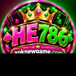 HE786 Game profile page and user account interface 2026