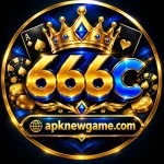 666C Game profile and account dashboard in Pakistan
