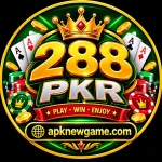 288 PKR Game profile and account dashboard
