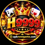 H9999 game profile photo APK 2026