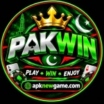 PAKWIN Game profile account screen on mobile