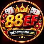 88ED Game profile image for Pakistani players